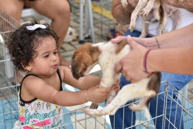 Feira de Adoção de Animais chega neste sábado a Praça do Barroco