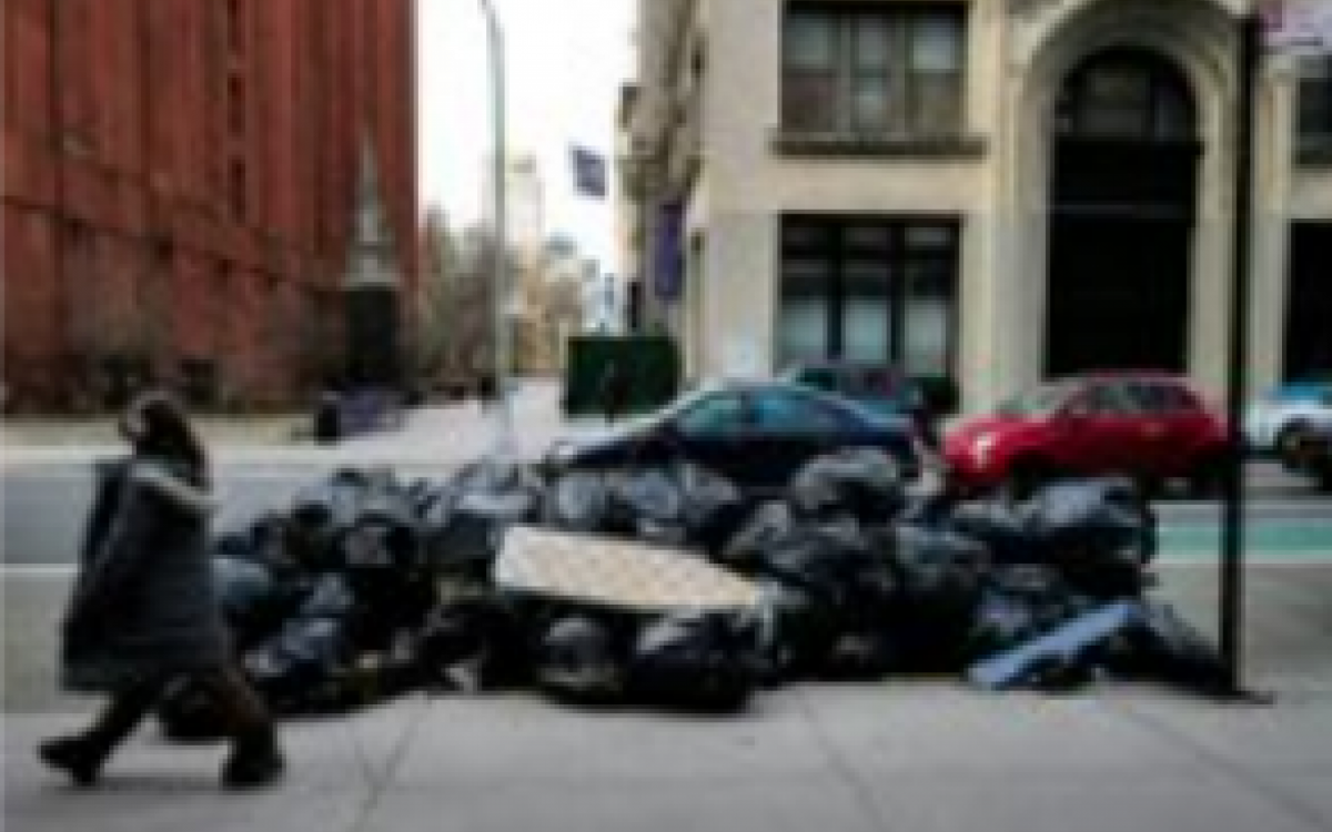 L&iacute;der do projeto diz que, para acabar com os ratos, tem que tirar o "buf&ecirc; livre" das cal&ccedil;adas
