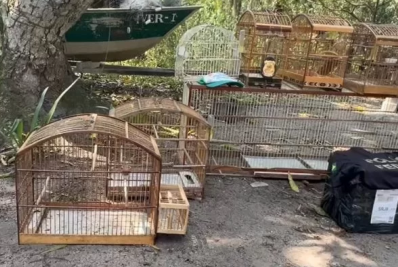 Acusado de integrar uma organização criminosa especializada no tráfico de micos-leões-dourados é preso em Cabo Frio