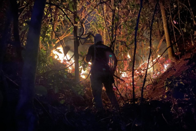 Espírito Santo adquire ferramenta que detecta incêndios e desmatamento em tempo real