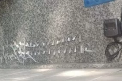 PM apreende entorpecentes em Cabo Frio 