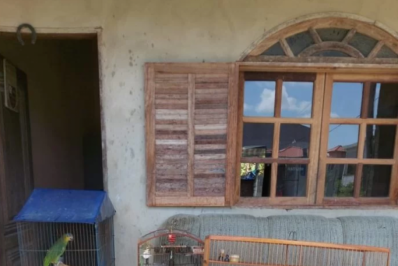 Pássaros em cativeiro são resgatados em São Pedro da Aldeia nesta segunda-feira (30)