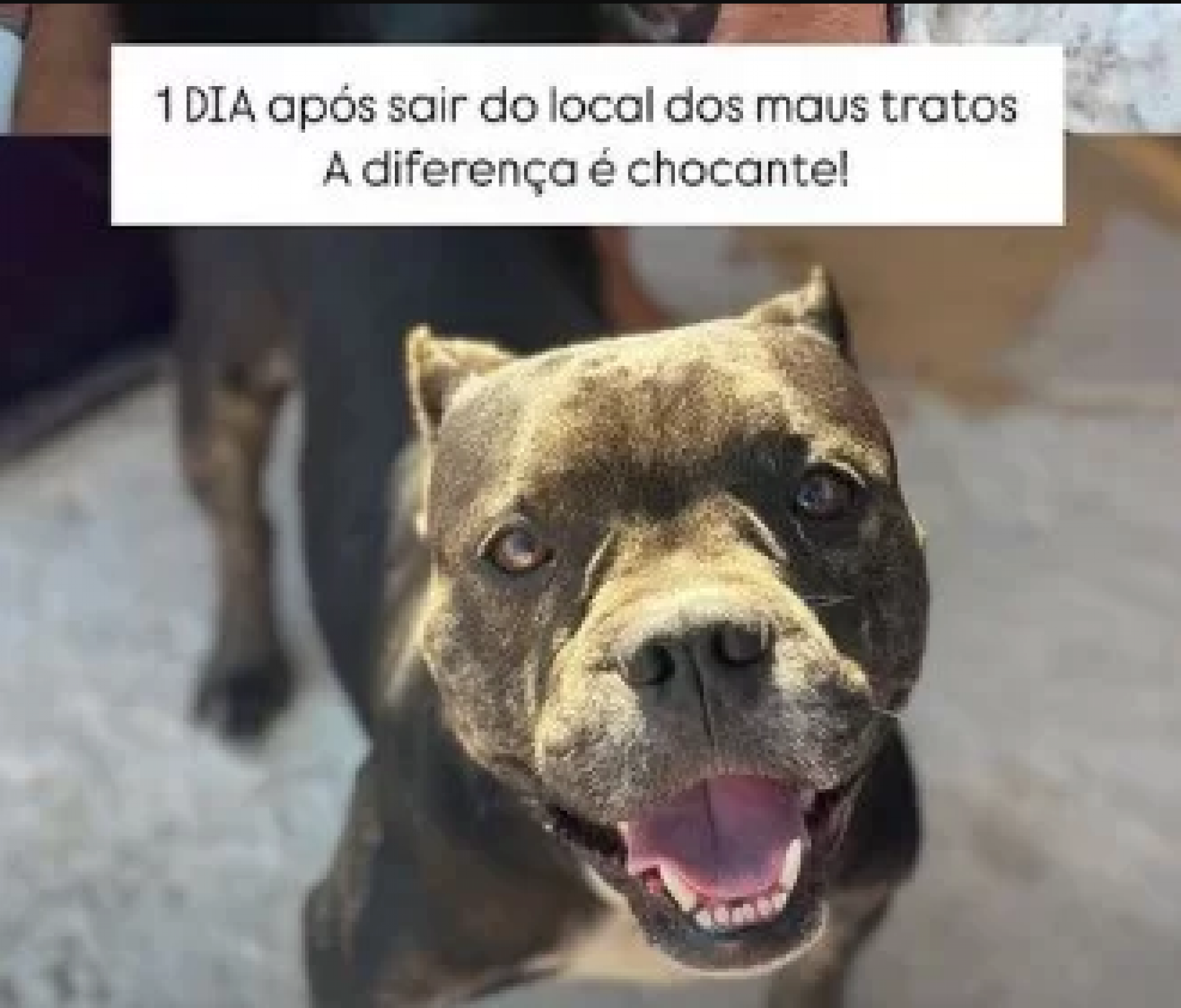 Em recupera&ccedil;&atilde;o - Reprodu&ccedil;&atilde;o/Rede social 