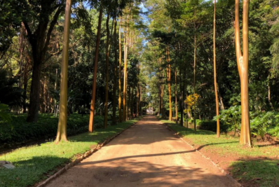 Homem é preso em flagrante por se masturbar em frente a estudantes no Jardim Botânico