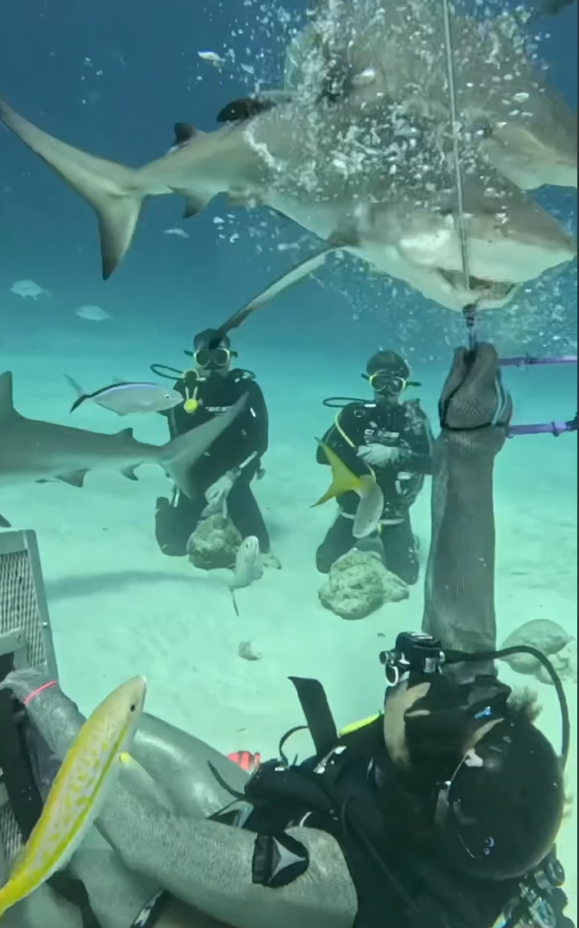 Luciano e Benício Huck - reprodução Instagram