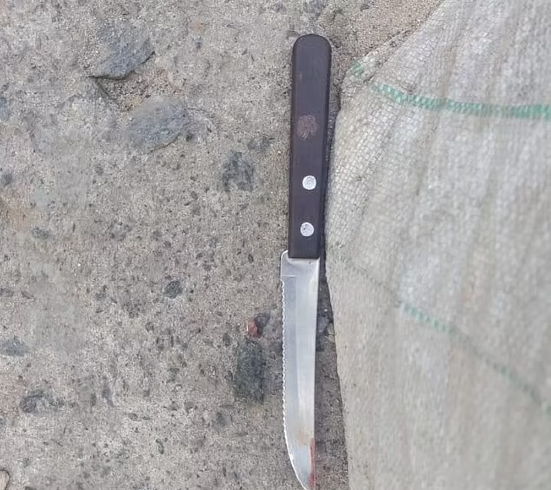 Faca usada no crime em La Matanza, na prov&iacute;ncia de Buenos Aires - Reprodu&ccedil;&atilde;o/Pol&iacute;cia de Buenos Aires