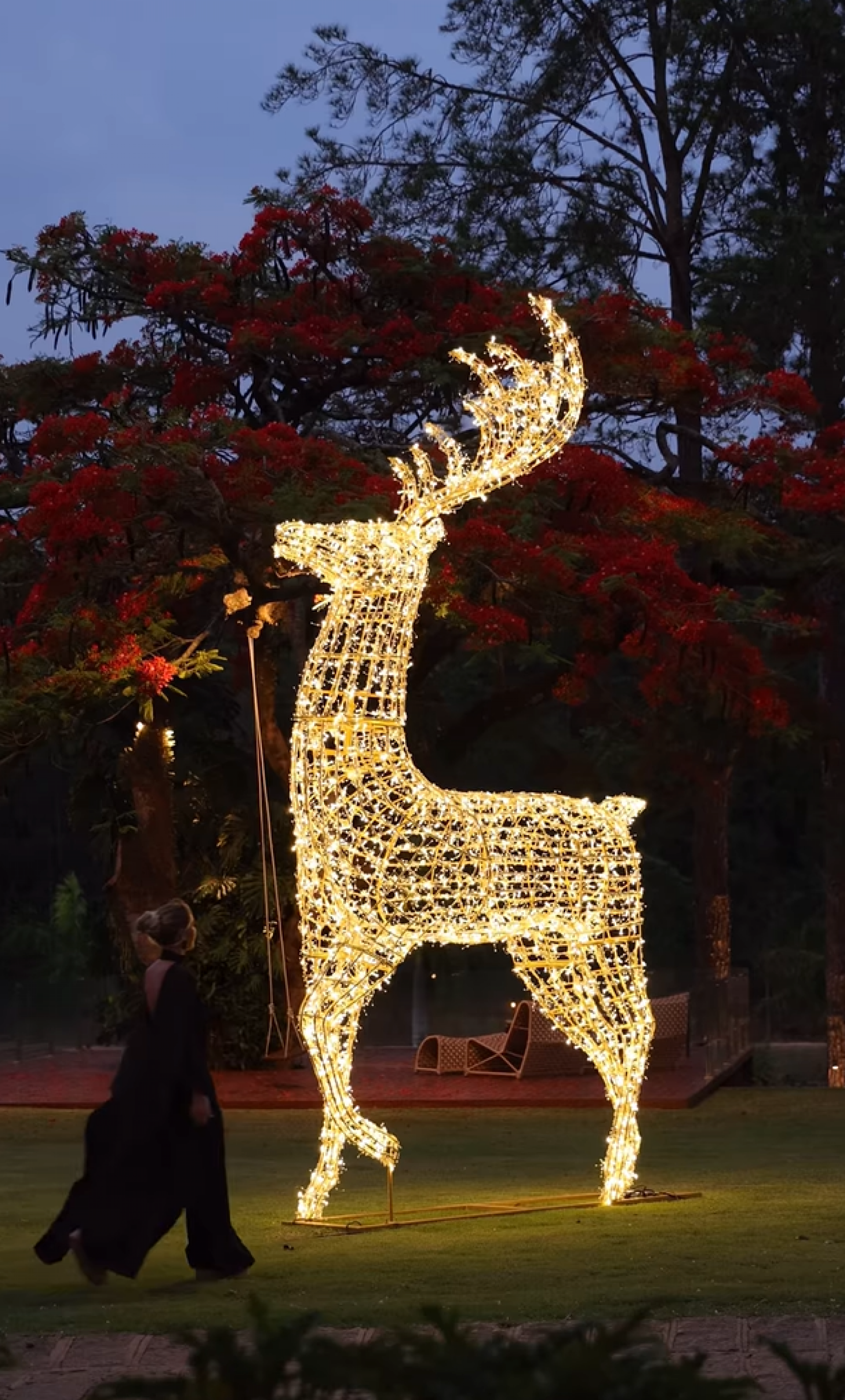 Ana Paula Siebert - reprodução Instagram