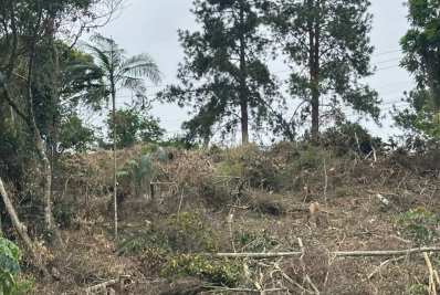  Polícia Ambiental identifica crime contra a flora em Teresópolis