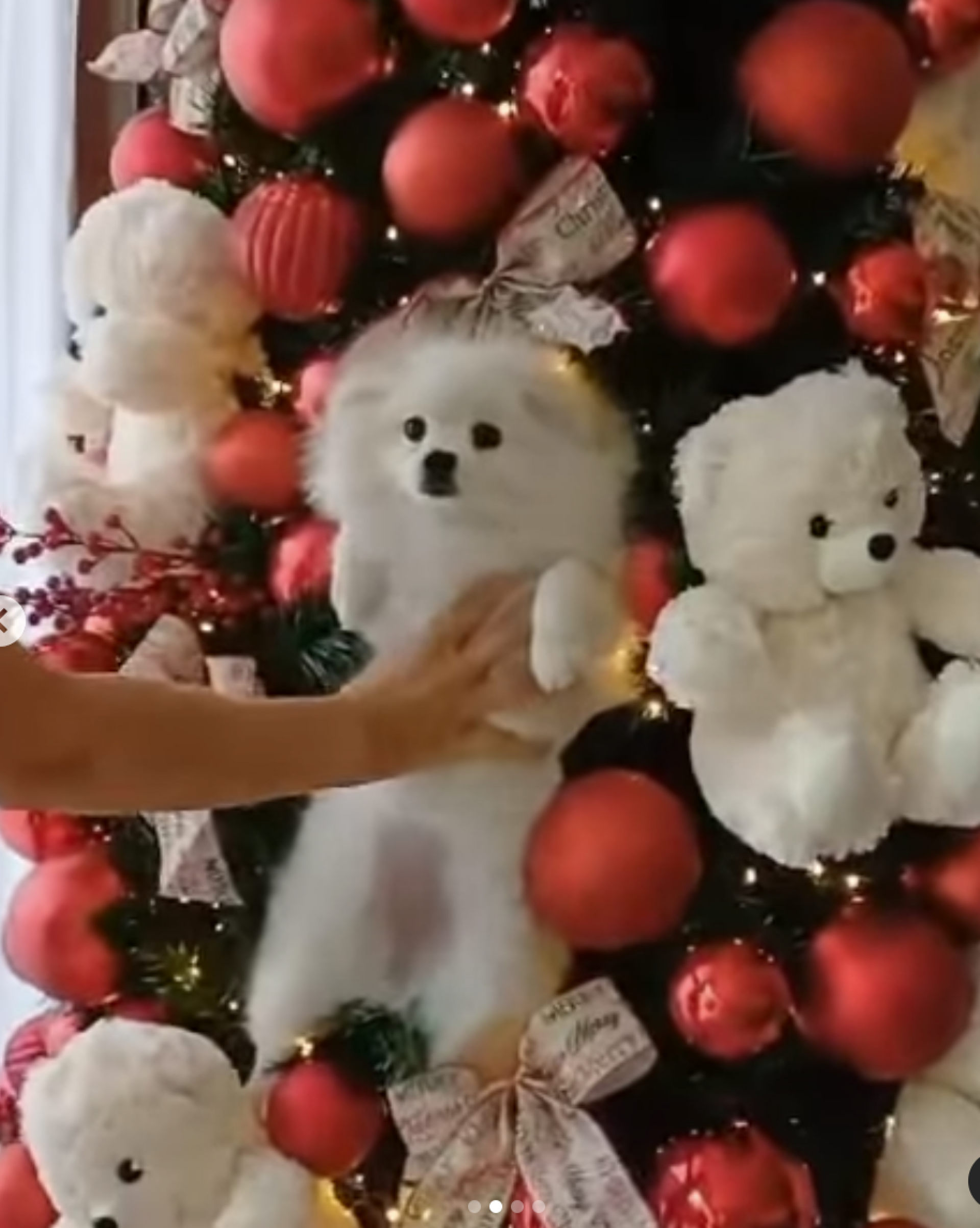 Grazi Massafera - reprodução Instagram