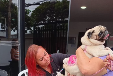 Distritos e Vila Industrial, em Arraial do Cabo, terão Campanha de Vacinação Antirrábica no sábado (23)