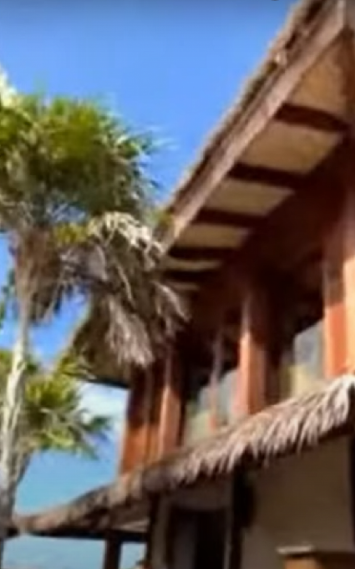 A mansão de John Textor pode ser local de comemoração em caso de título do Botafogo