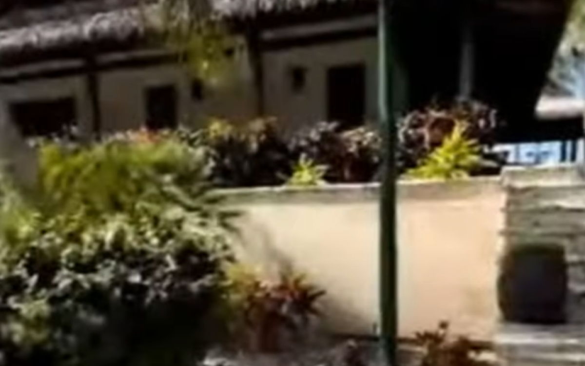 A mansão de John Textor pode ser local de comemoração em caso de título do Botafogo