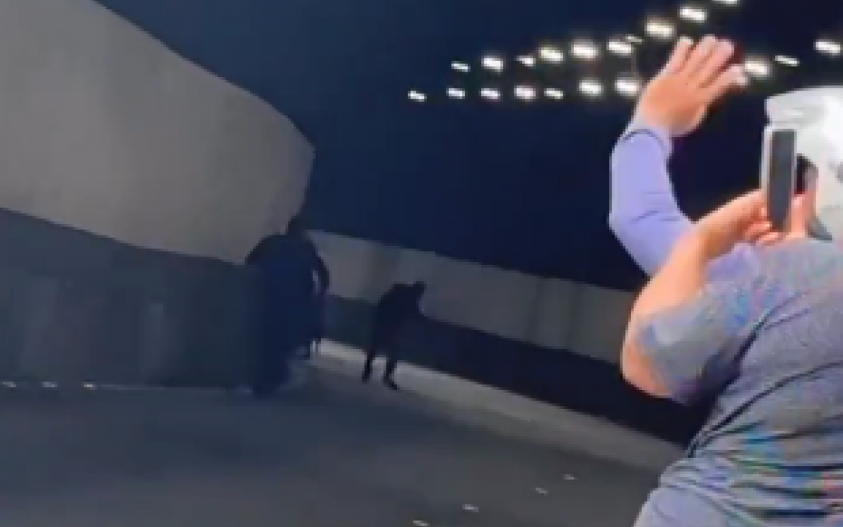 A ação aconteceu no início da tarde de hoje