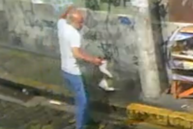 Homem é preso por espancar gato no Centro do Rio