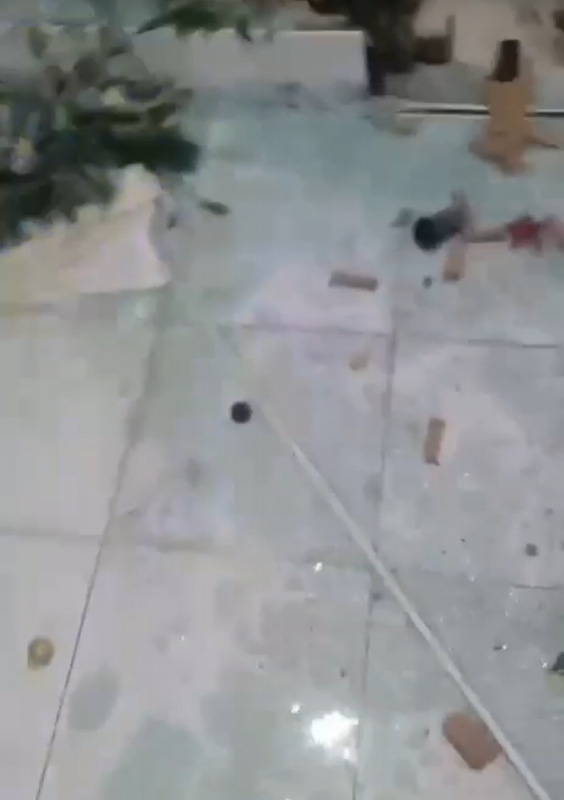 Fragmentos de vidro ficaram espalhados pelo chão da casa, em Santa Cruz - Reprodução / Redes sociais