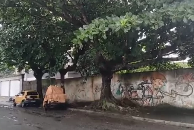 Moradores de Cabo Frio denunciam árvore que dá choque em dias de chuva
