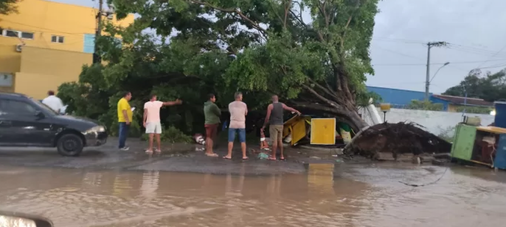 Árvore caiu com temporal, atingindo gerador do HMOCS e barracas que ficam nas proximidades 