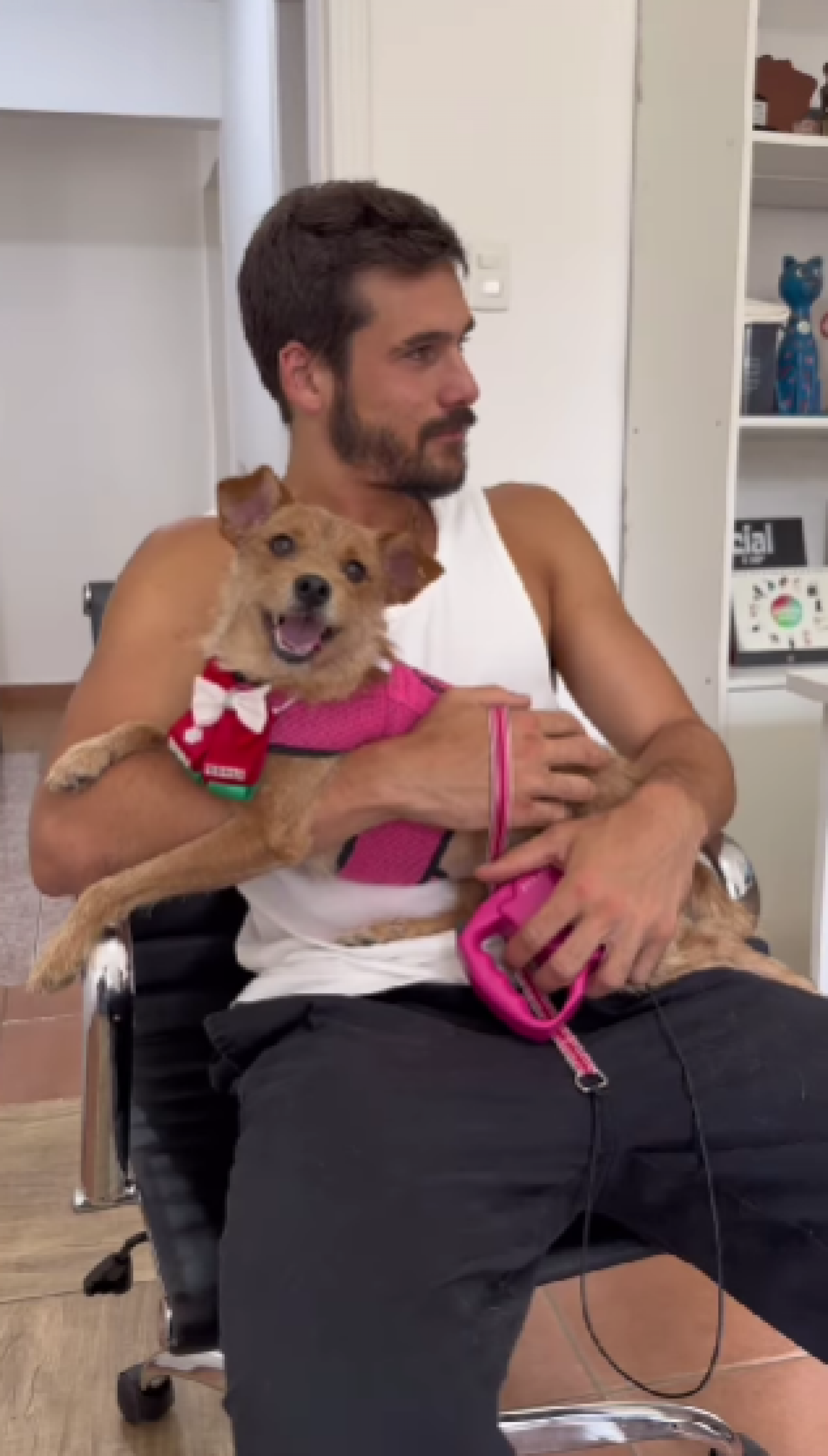 Nicolas Prattes adota cadela resgatada: 'Já é muito amada' - Reprodução de vídeo / Instagram