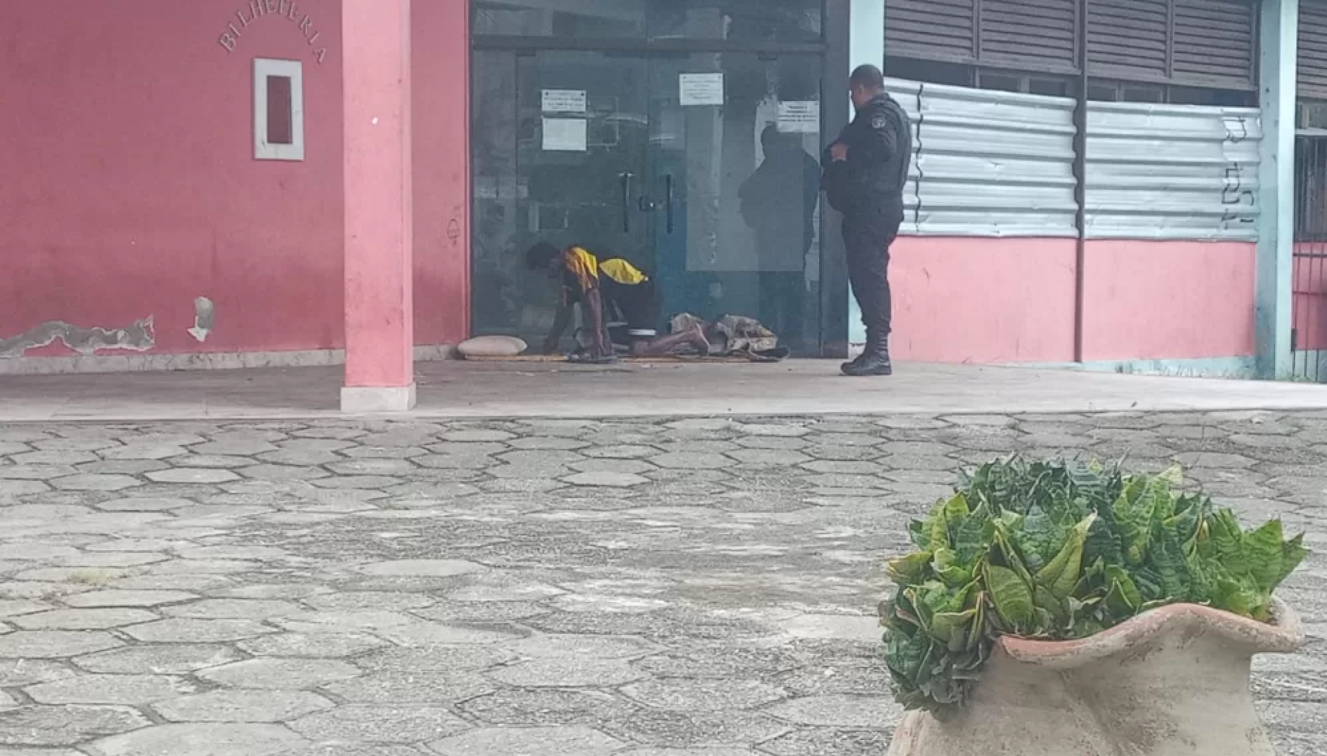 Ocupa&ccedil;&otilde;es irregulares - Reprodu&ccedil;&atilde;o/ROMU 