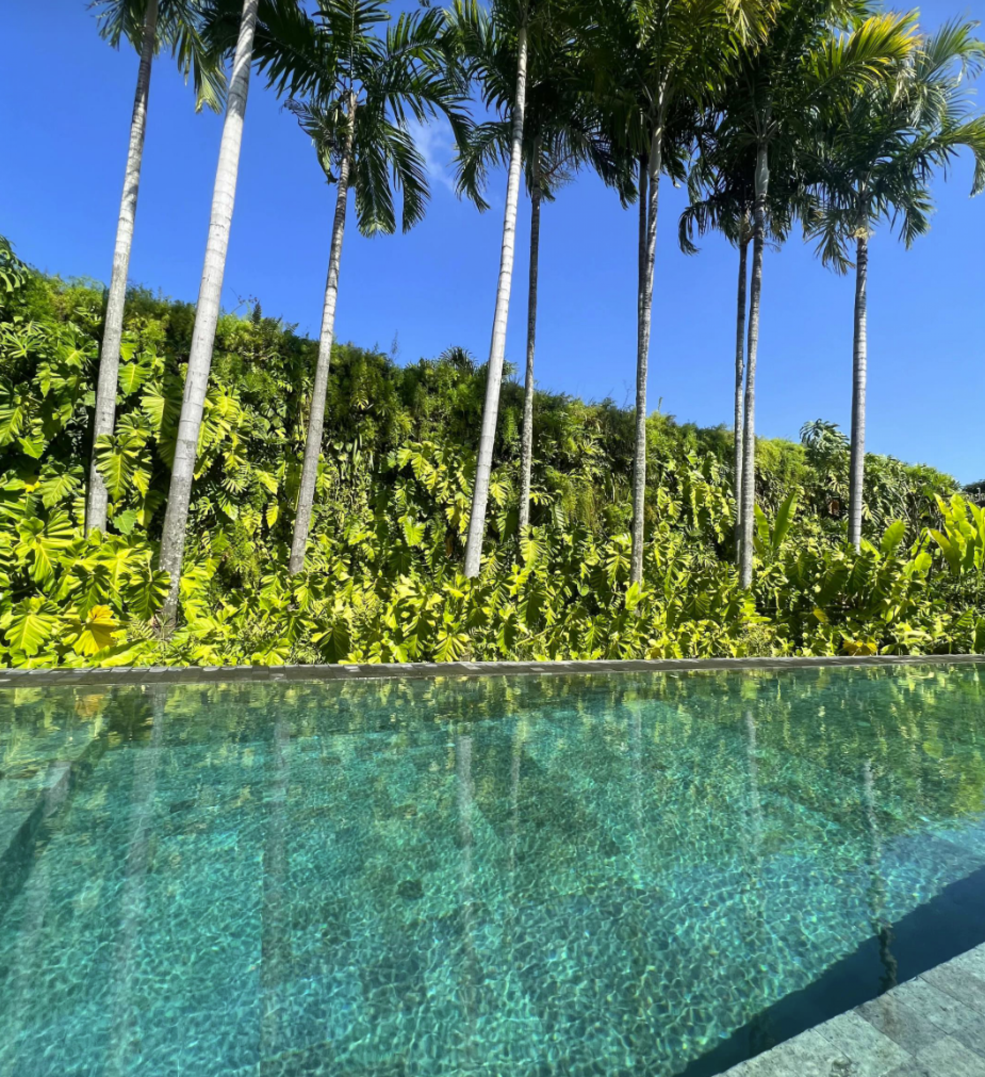 Marina Ruy Barbosa mostra detalhes de sua mansão no Rio de Janeiro - reprodução TikTok