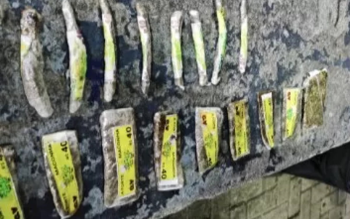 Foram encontrados cocaína, crack e maconha, escondidos em locais estratégicos 