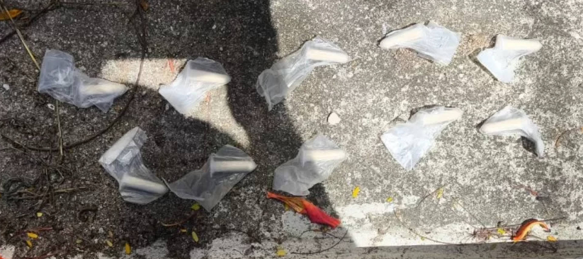 Foram encontrados coca&iacute;na, crack e maconha, escondidos em locais estrat&eacute;gicos  - Divulga&ccedil;&atilde;o/PM 