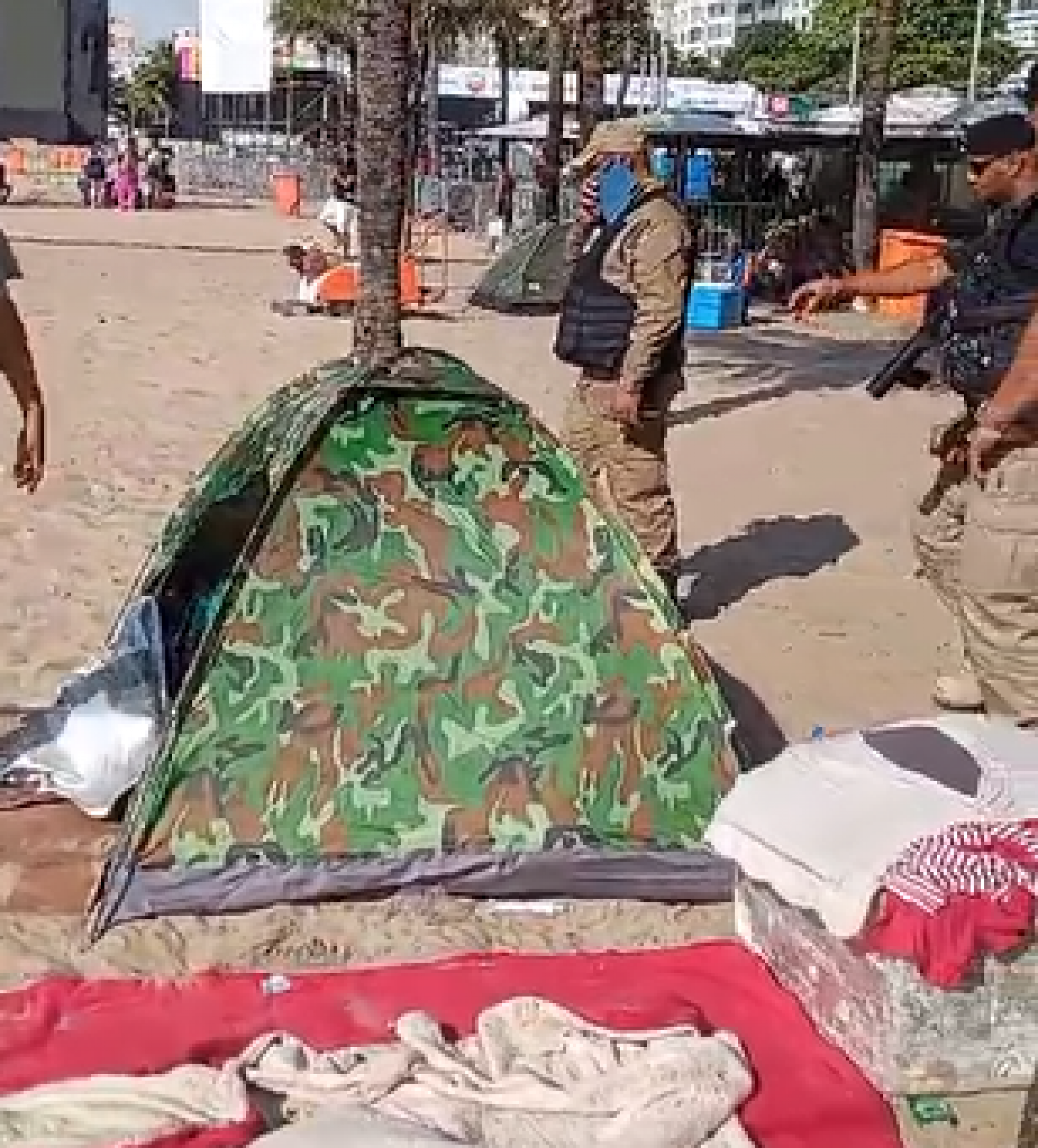 Material apreendido durante a ação - Divulgação