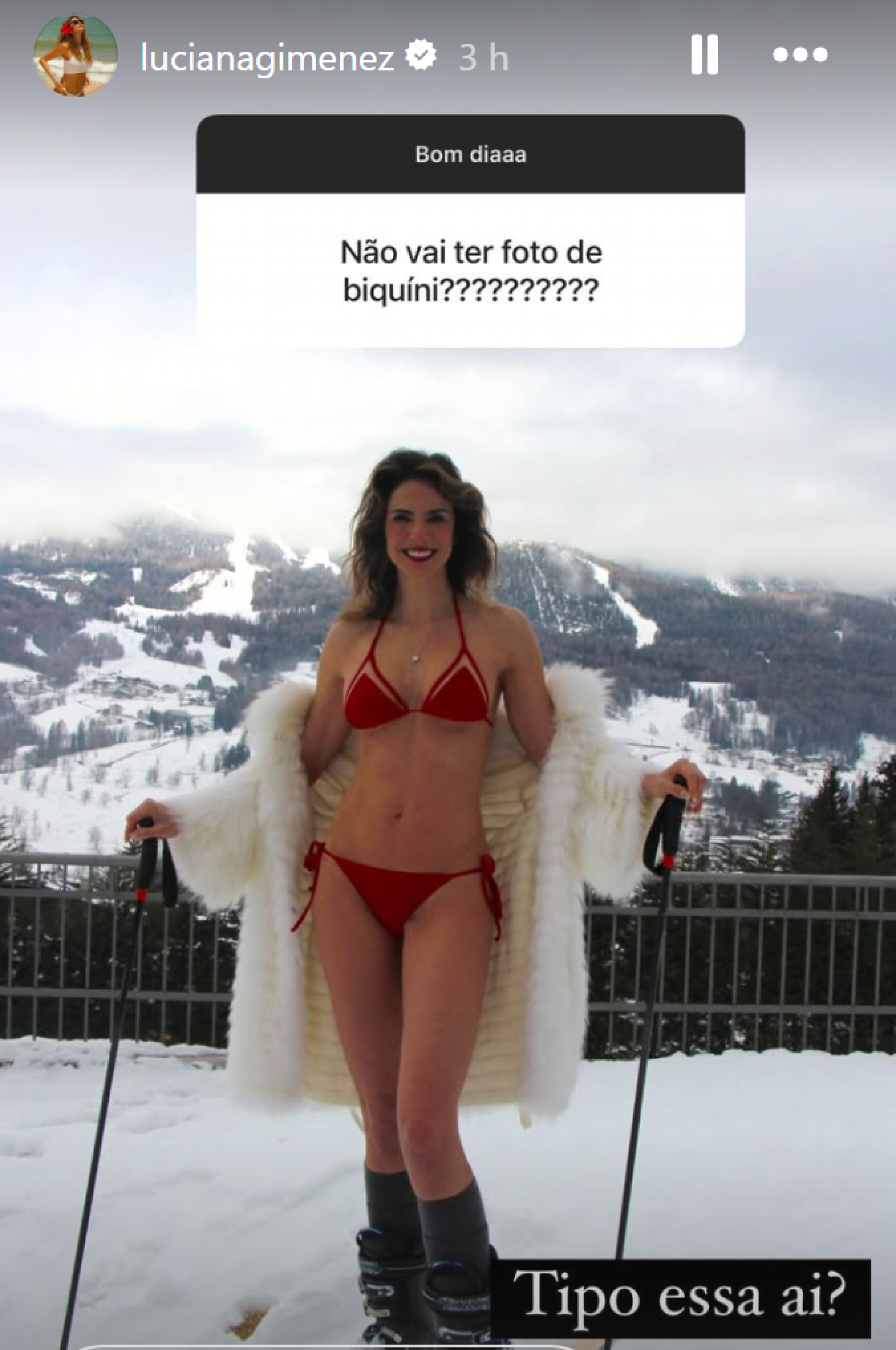 Luciana Gimenez - reprodução Instagram