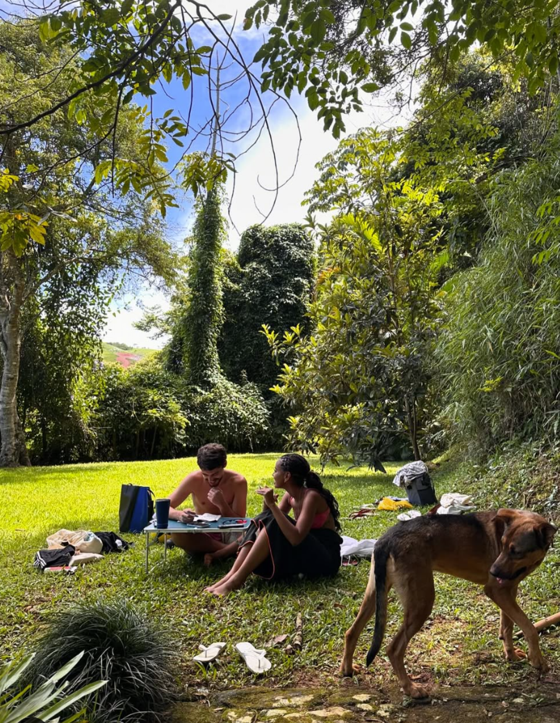 Gabz e Jaffar Bambirra - reprodução Instagram