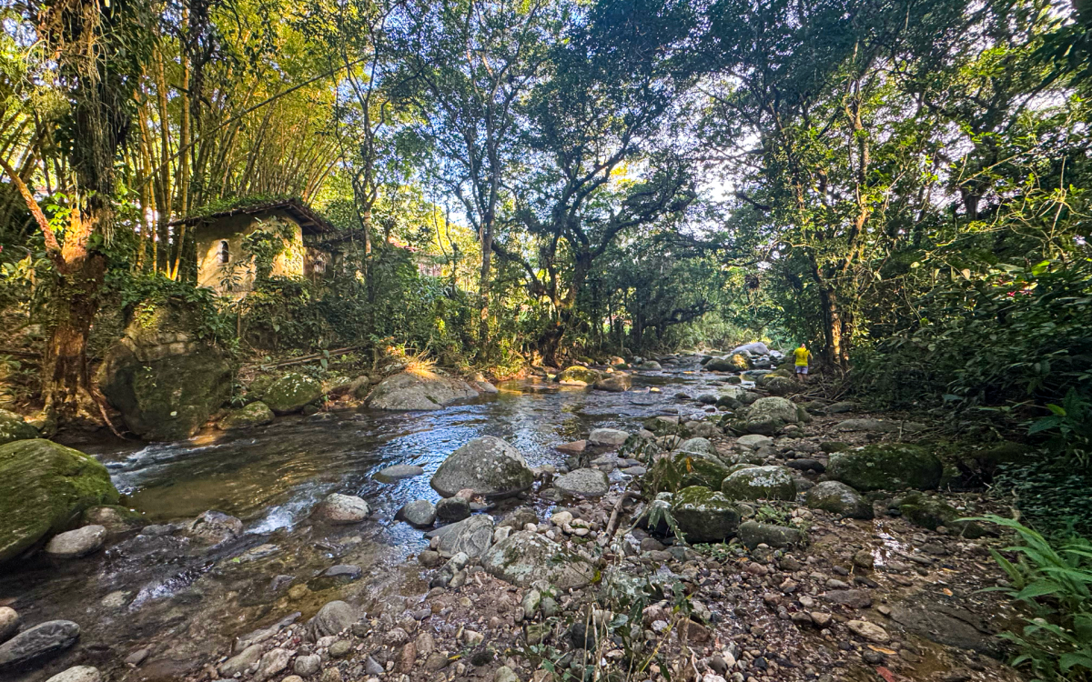 Um convite para contemplar a natureza - Divulga&ccedil;&atilde;o