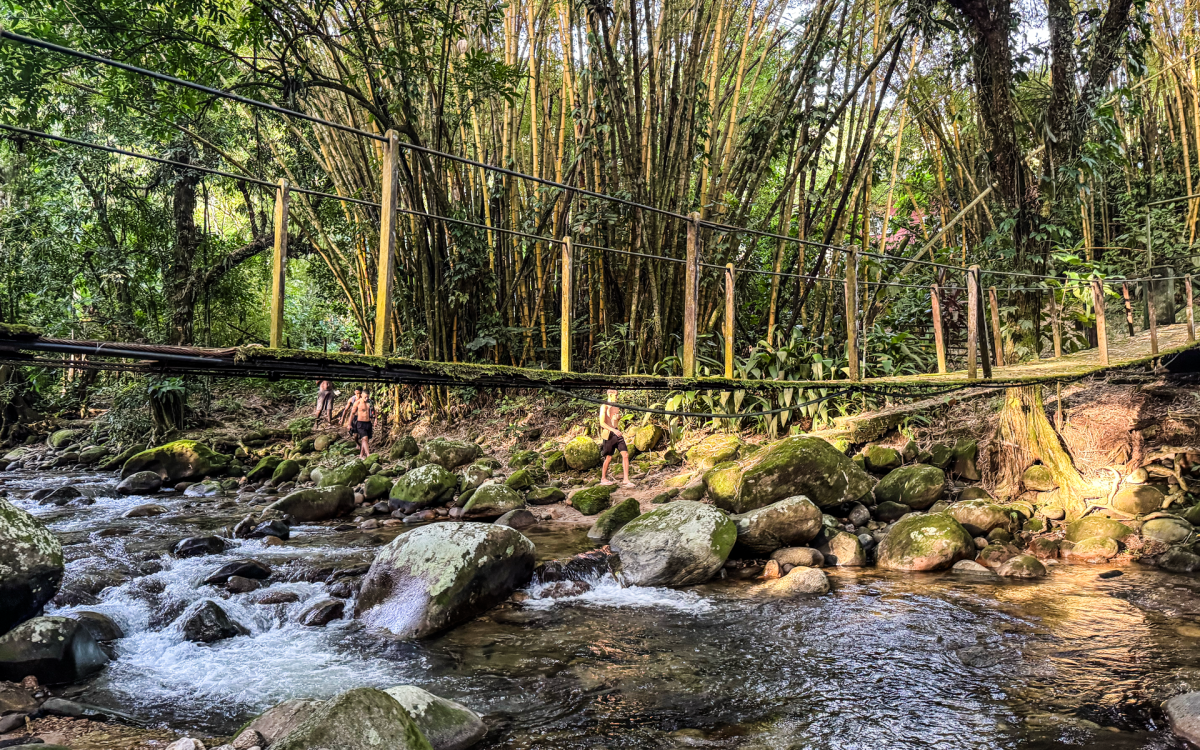A Trilha do Tei&uacute; &eacute; a mais nova de Guapimirim - Divulga&ccedil;&atilde;o