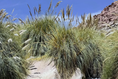 Maria Flor aproveita reta final das férias com o pai e a madrasta 