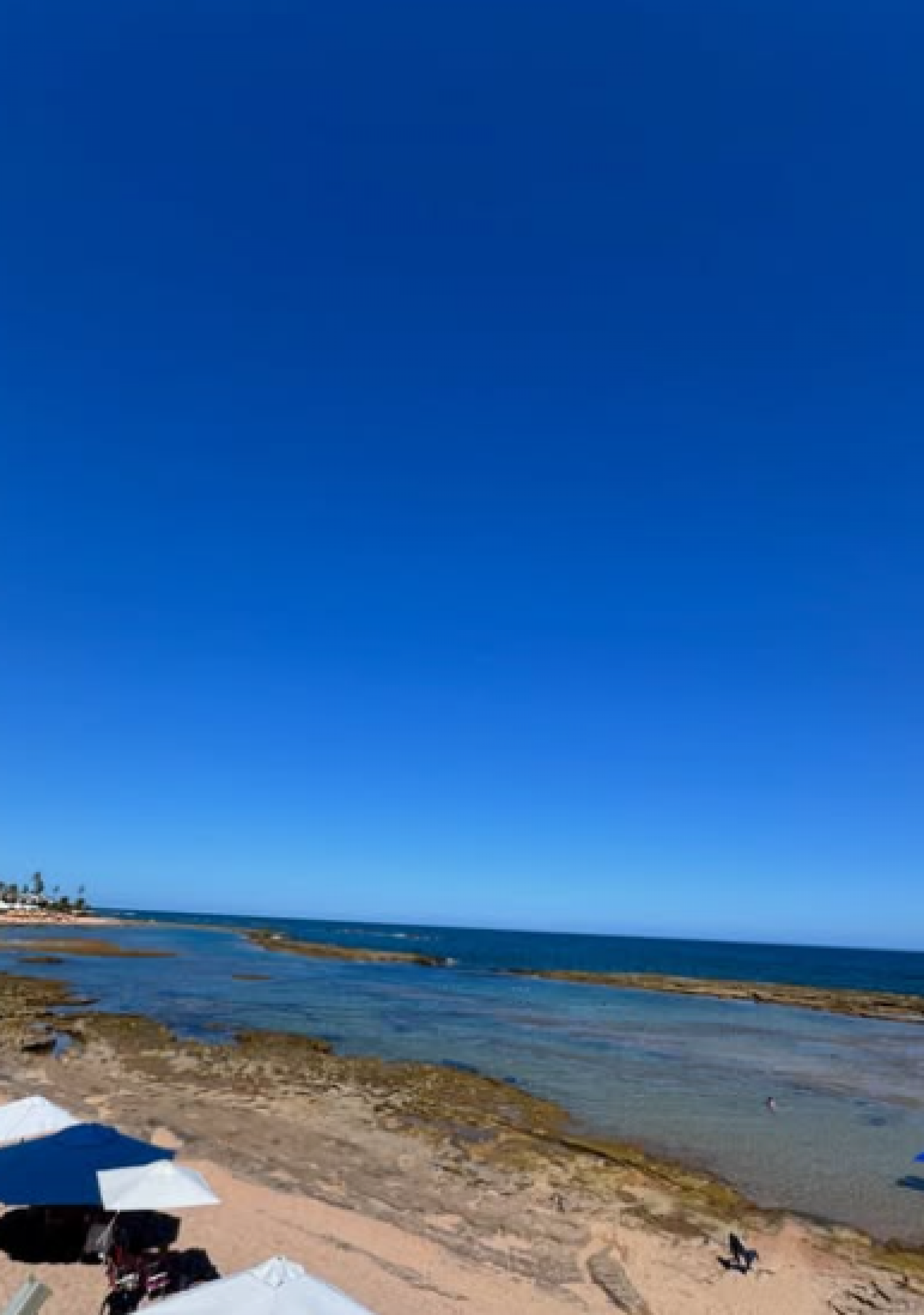 Pitty relaxa em praia na Bahia
 - Reprodução / Instagram