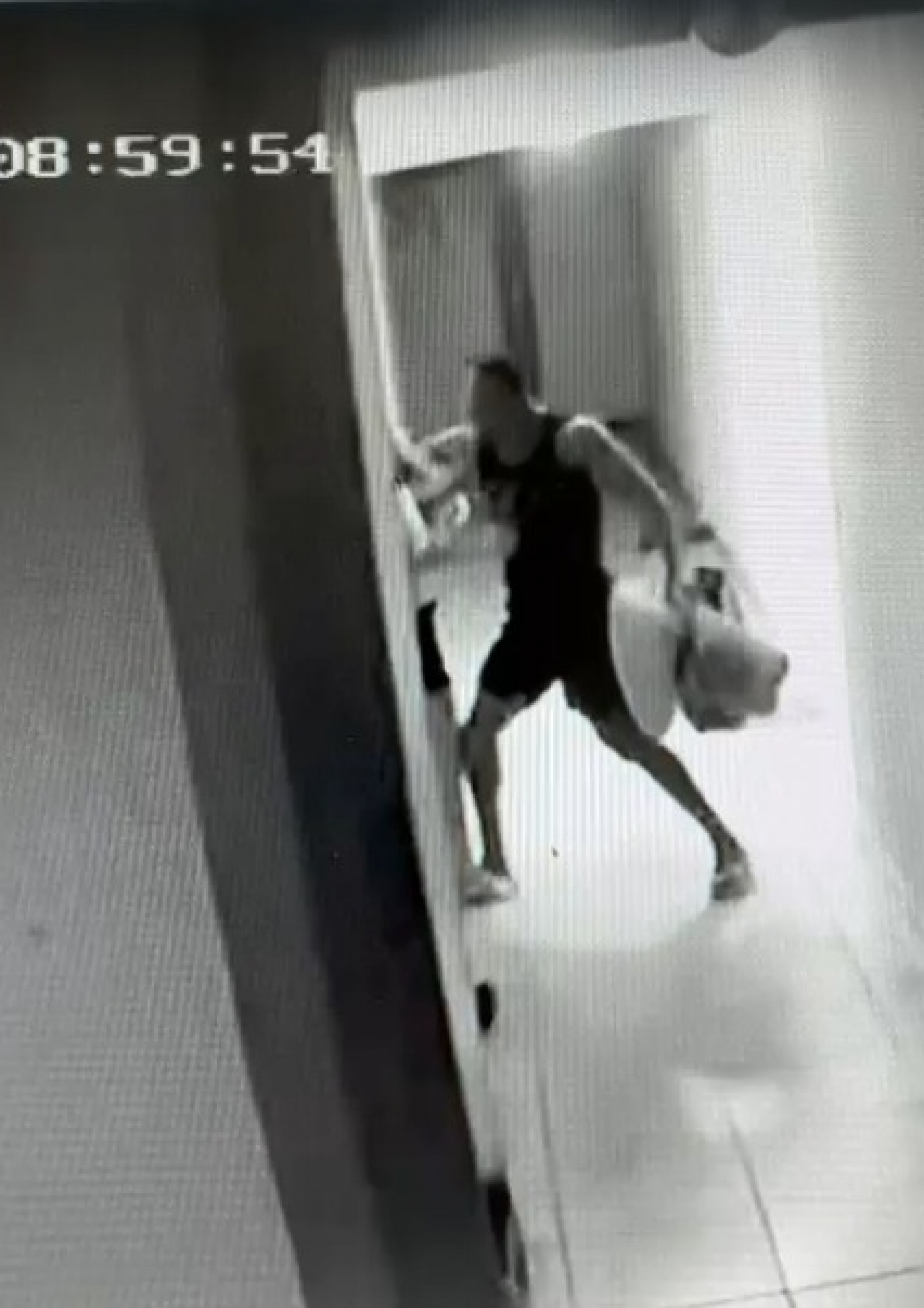 Câmeras flagram Valdenir da Silva agredindo Ilines Valesca - Arquivo pessoal