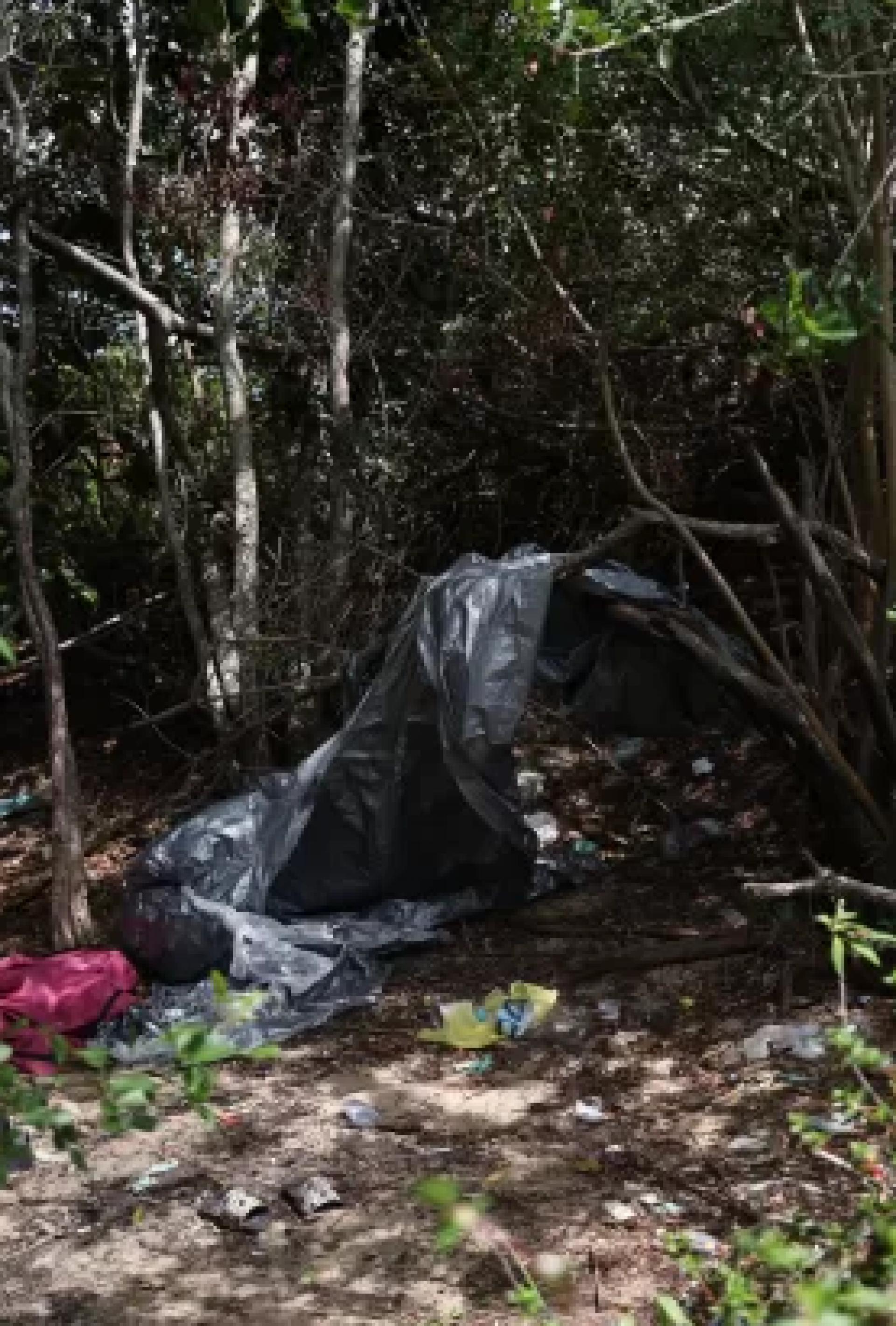 A&ccedil;&atilde;o para combater a atua&ccedil;&atilde;o de flanelinhas e o estacionamento irregular - Reprodu&ccedil;&atilde;o 