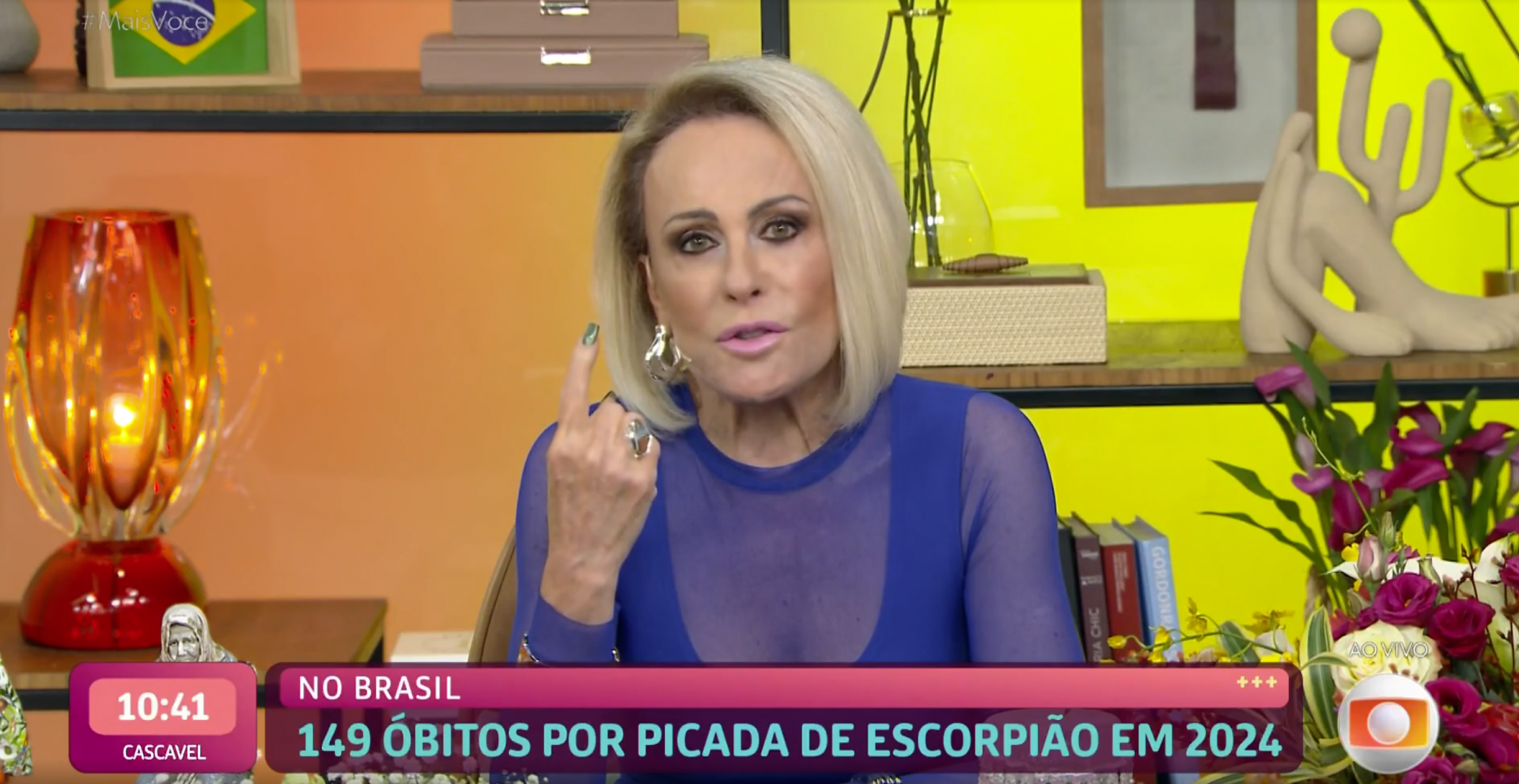 Ana Maria Braga é picada por escorpião e fala sobre prevenção - TV Globo