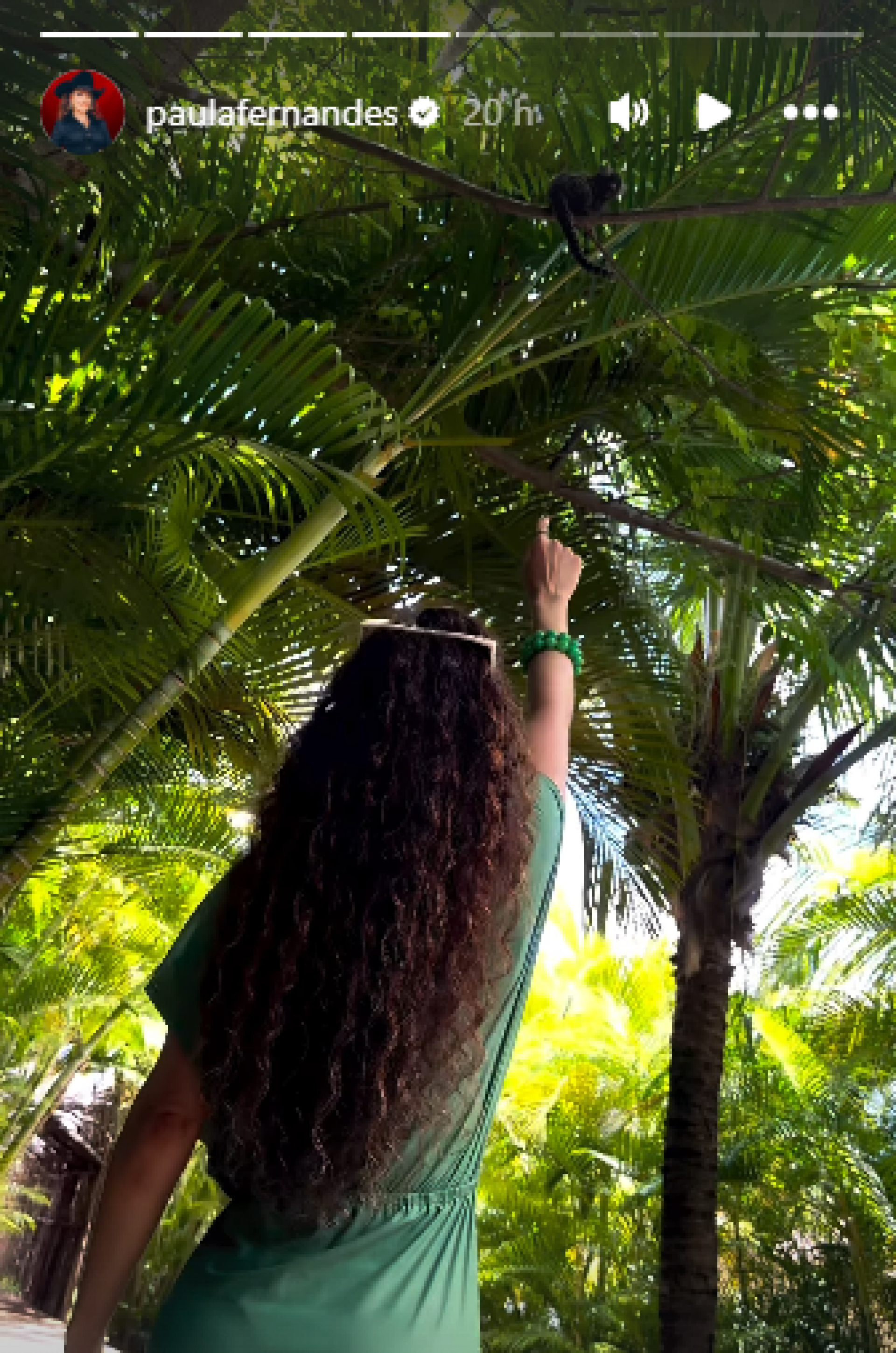 Paula Fernandes interage com saguis - Reprodução de vídeo / Instagram