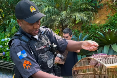 Polícia Militar e ICMBio realizam a soltura de 22 aves em Petrópolis