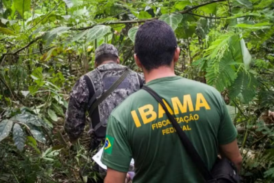 É inadmissível pressão política no Ibama, diz associação de funcionários em resposta a Lula