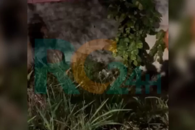 Mulher é vítima de tentativa de homicídio em Arraial do Cabo