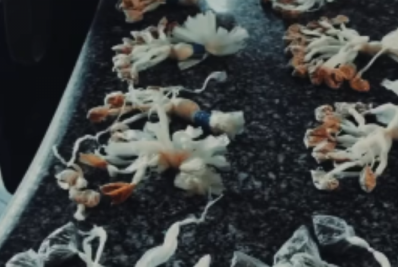 Preso em flagrante por tráfico de drogas