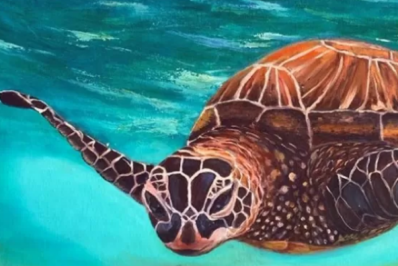 Museu Regional do Sal estreia exposição artística nesta sexta-feira (21) em São Pedro