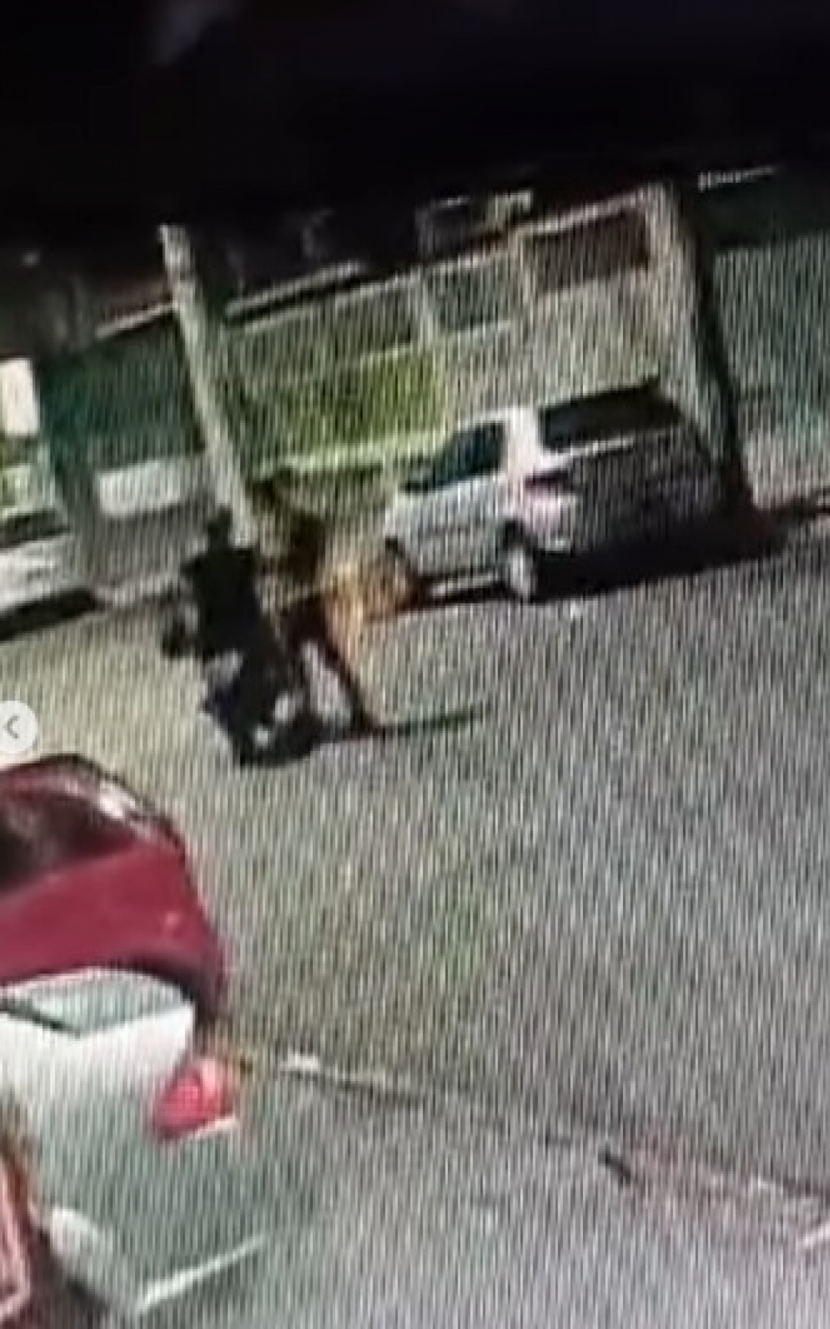 Câmeras de segurança registraram Igor subindo na moto ainda com o uniforme do trabalho - Reprodução