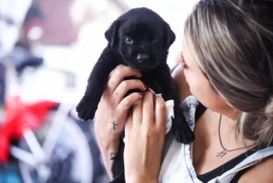 Abertas inscrições para ação de castração gratuita de cães e gatos em Cabo Frio