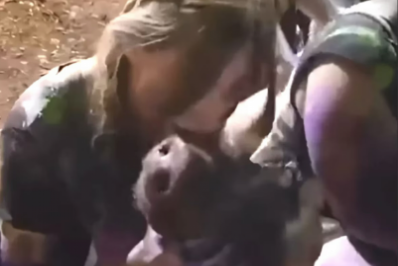 Estudantes de Veterinária beijam cabeça de porco decepada em trote de faculdade