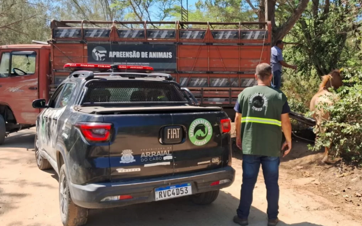 Comando de Policiamento Rodoviário (CPRV), com o apoio da equipe de Apreensão de Animais