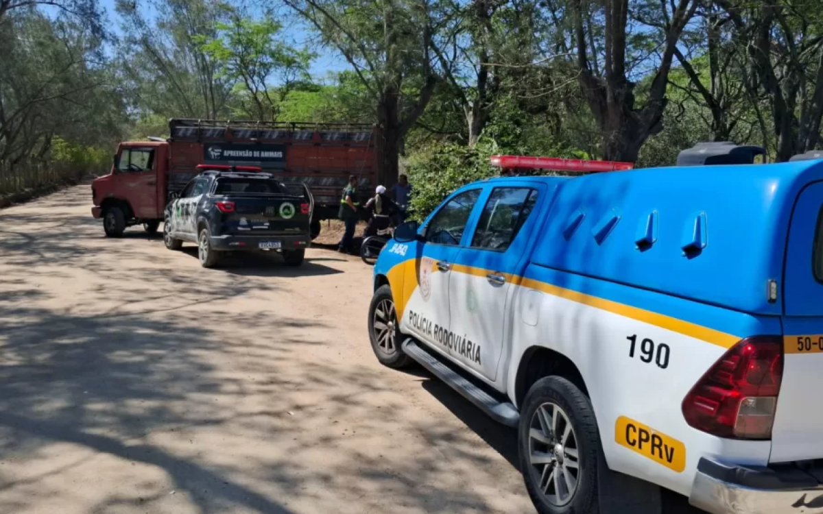 Comando de Policiamento Rodoviário (CPRV), com o apoio da equipe de Apreensão de Animais