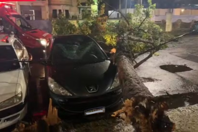 Temporal no Rio causa queda de árvores e problemas no metrô; Vídeos