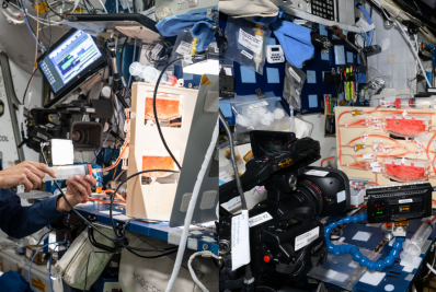 Space X lança missão para resgatar astronautas presos no espaço por nove meses