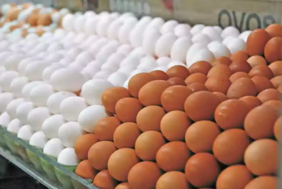 Contrabando de ovos cresce nos EUA em meio a alta de preços